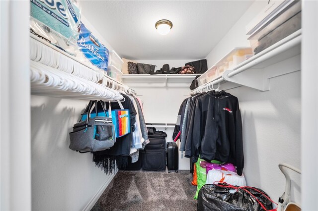 spacious closet featuring carpet floors