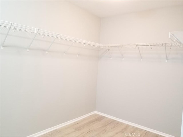 spacious closet with wood finished floors