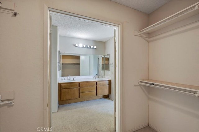 spacious closet featuring light carpet and a sink