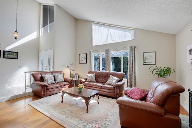 living area with lofted ceiling, a textured ceiling, and wood finished floors