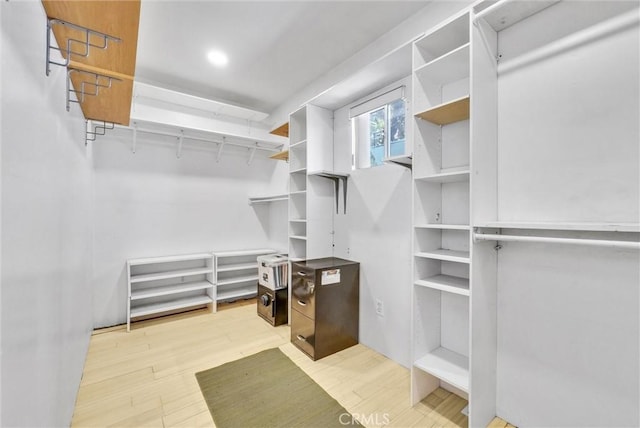 spacious closet featuring light wood finished floors