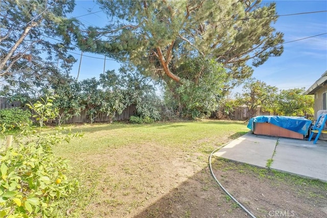 view of yard featuring a fenced backyard and a patio