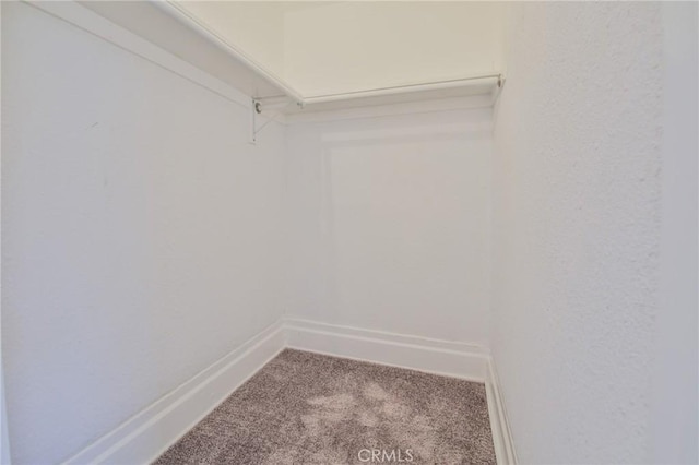 spacious closet with carpet