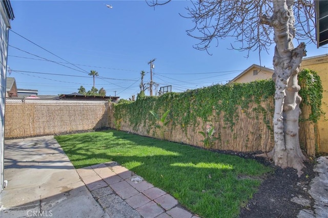 view of yard with a patio area and a fenced backyard