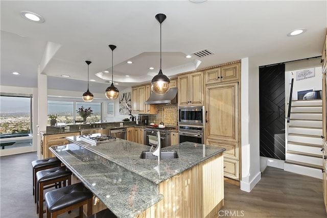 kitchen featuring stainless steel appliances, a sink, exhaust hood, visible vents, and a raised ceiling