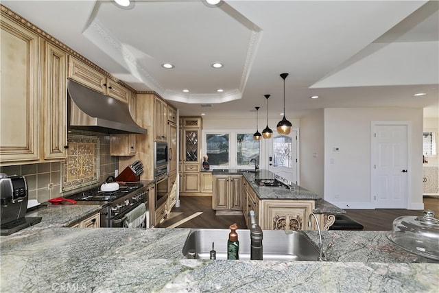 kitchen with under cabinet range hood, stainless steel appliances, a sink, dark wood-style floors, and a tray ceiling