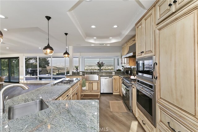 kitchen with stainless steel appliances, a tray ceiling, a sink, and extractor fan