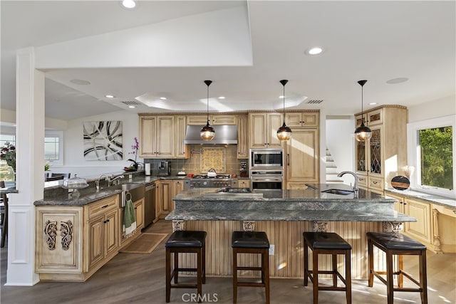 kitchen featuring stainless steel appliances, tasteful backsplash, a raised ceiling, a sink, and ventilation hood