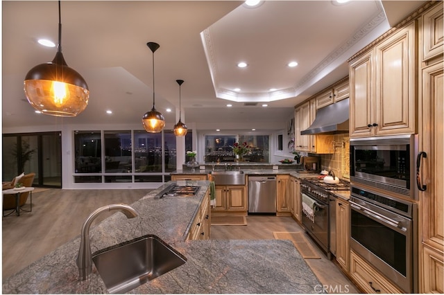 kitchen with appliances with stainless steel finishes, a tray ceiling, a sink, and under cabinet range hood