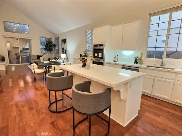 kitchen featuring a sink, stainless steel appliances, and dark wood-style floors