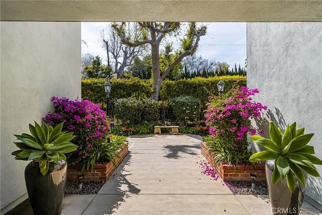 view of yard with a patio area