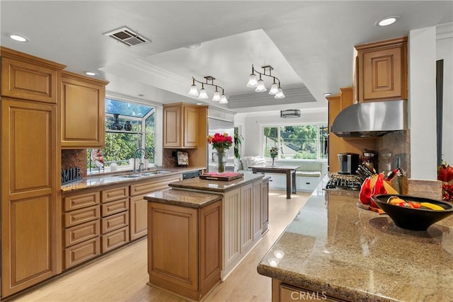 kitchen with extractor fan, visible vents, a wealth of natural light, a center island, and a raised ceiling