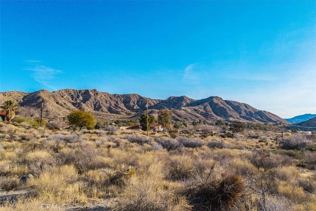 0 Palo Verde Rd, Morongo Valley CA, 92256 land for sale