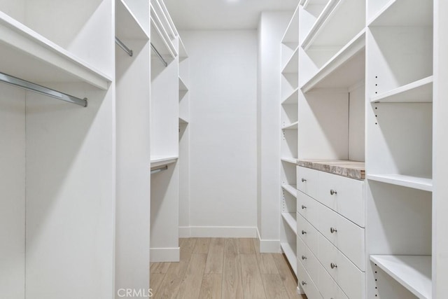 walk in closet with light wood-style floors