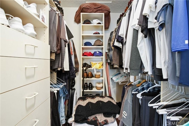 view of walk in closet