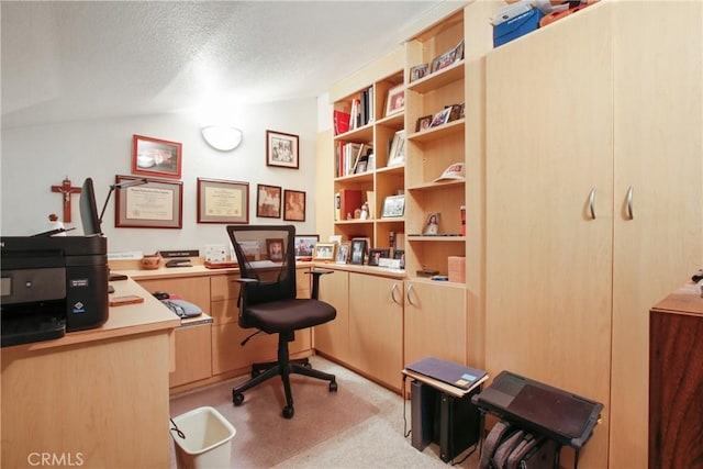 office with vaulted ceiling and a textured ceiling