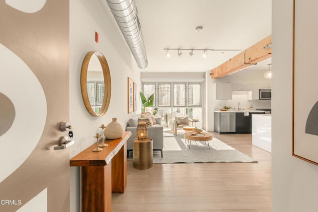 interior space featuring light wood-type flooring, a sink, and rail lighting