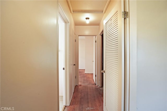 hallway featuring dark wood-type flooring