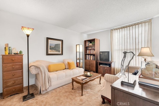 carpeted living area with a textured ceiling