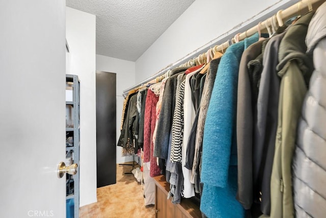 spacious closet featuring light carpet