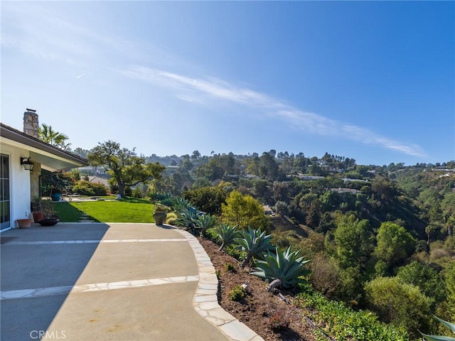 view of yard featuring a patio