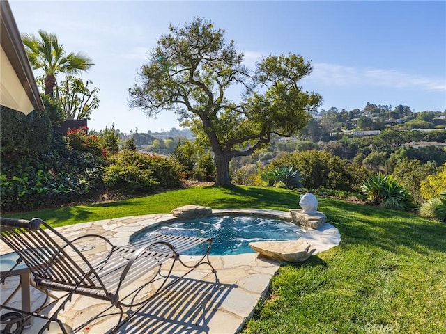 view of pool featuring a patio area and a lawn