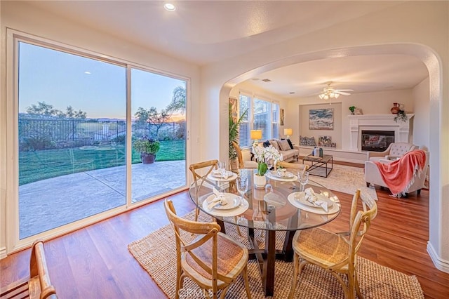 dining area featuring arched walkways, a glass covered fireplace, ceiling fan, and wood finished floors