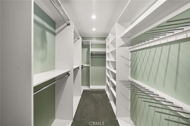 spacious closet featuring carpet