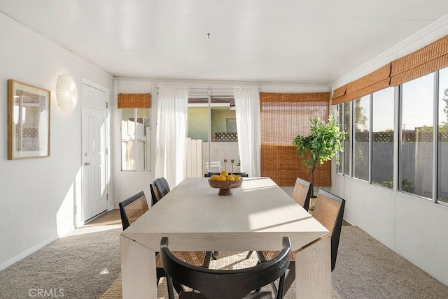 dining room featuring light carpet