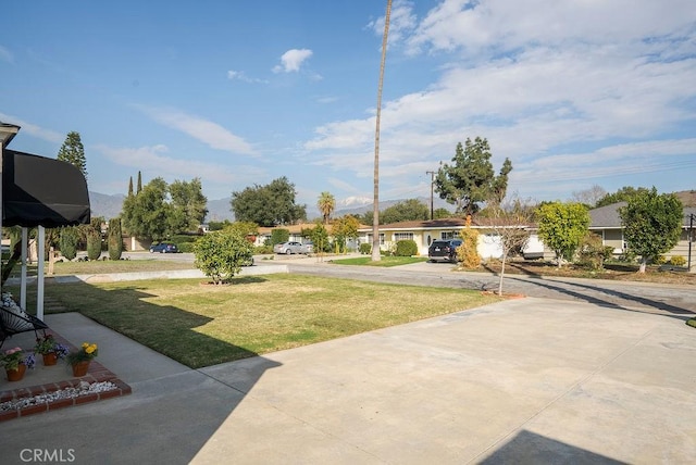 view of yard featuring concrete driveway