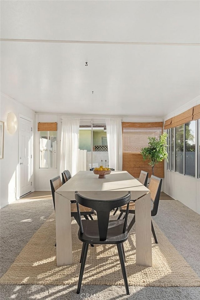 dining area featuring a healthy amount of sunlight