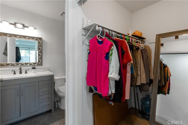 walk in closet featuring a sink
