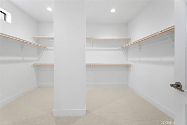 spacious closet with light carpet