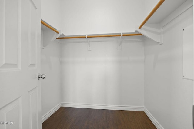 spacious closet featuring dark wood finished floors