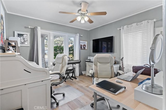 office area featuring ornamental molding, ceiling fan, and light wood-style flooring