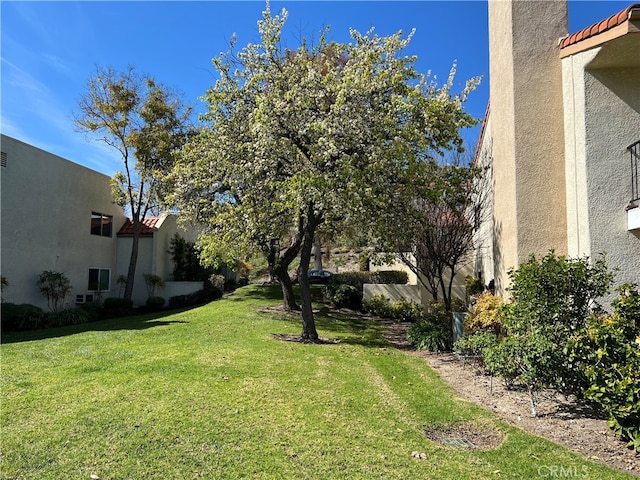 4018 Calle Sonora Este Unit C, Laguna Woods, CA 92637 - view of green lawn