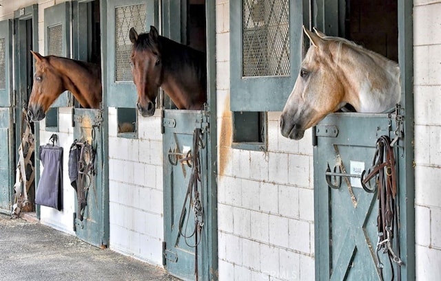 4018 Calle Sonora Este Unit C, Laguna Woods, CA 92637 - view of horse barn
