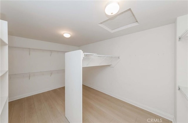 walk in closet featuring attic access and light wood-style flooring