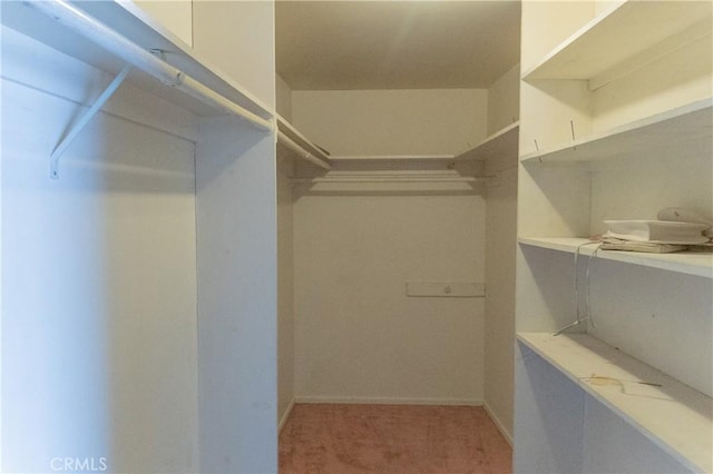 walk in closet featuring light carpet