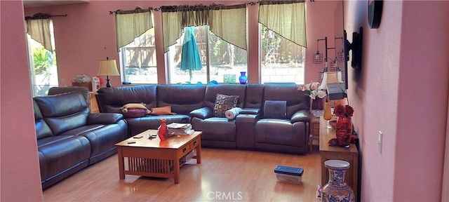 living area with wood finished floors