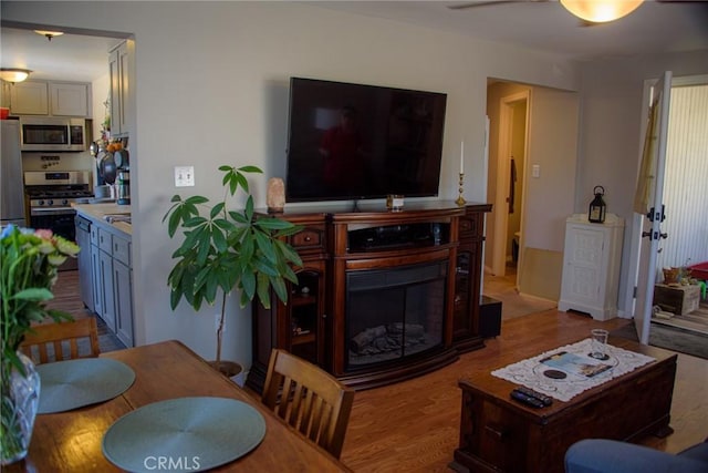 living room with ceiling fan, wood finished floors, and a glass covered fireplace