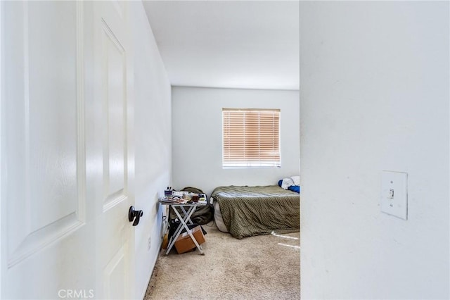 bedroom featuring carpet flooring