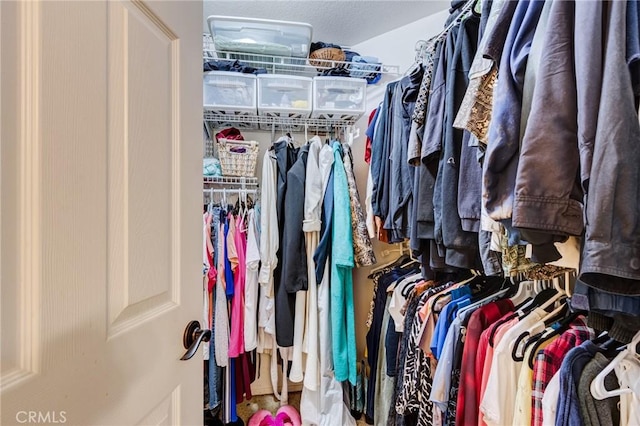 view of spacious closet