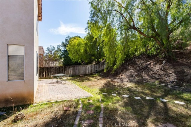 view of yard with a fenced backyard and a patio