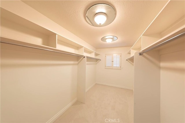 walk in closet with carpet flooring