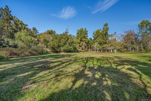 view of yard with a view of trees