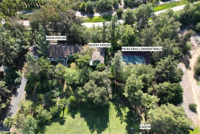 drone / aerial view