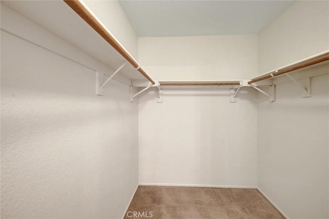 spacious closet with light carpet