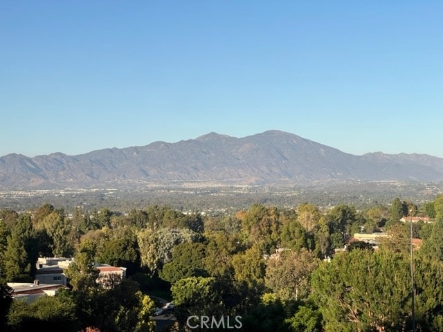 view of mountain feature featuring a wooded view