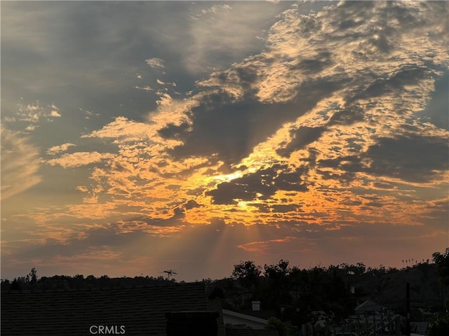 view of nature at dusk